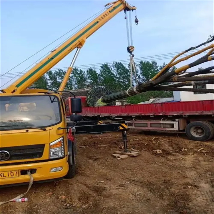 王场镇100吨吊车租赁费用怎么算？3大关键因素+省钱技巧全解析